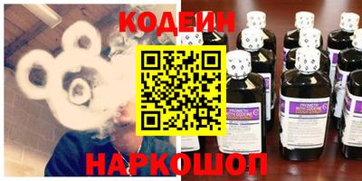 мдпв Камышлов
