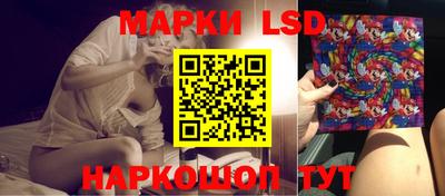 мдпв Камышлов