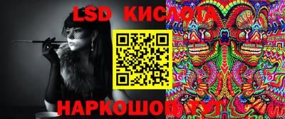мдпв Камышлов