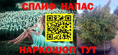 мдпв Камышлов