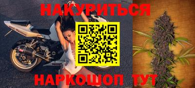 мдпв Камышлов
