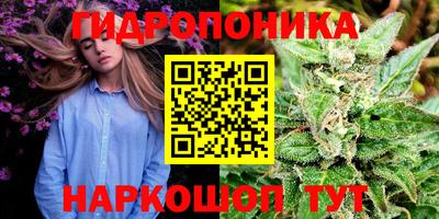 дмт Кандалакша