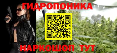 дмт Кандалакша