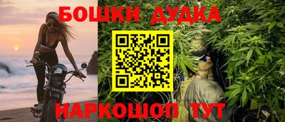мдпв Камышлов
