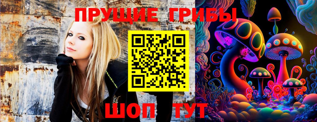 Галлюциногенные грибы Psilocybine cubensis Верхняя Пышма