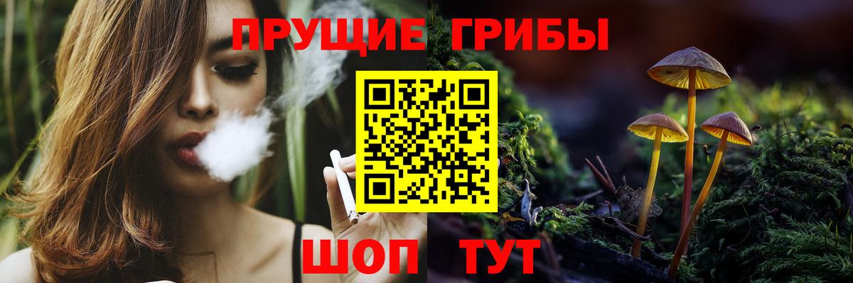 Верхняя Пышма  Галлюциногенные грибы Psilocybe  Вход с VPN 